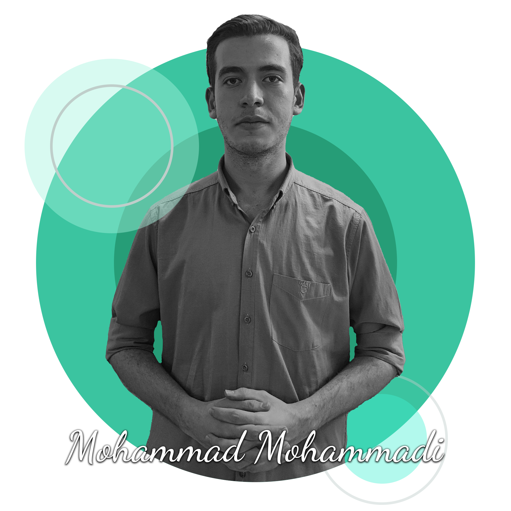 محمدمحمدی